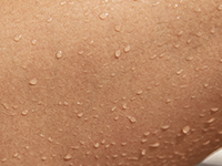 El aceite de aguacate proporciona hidratación